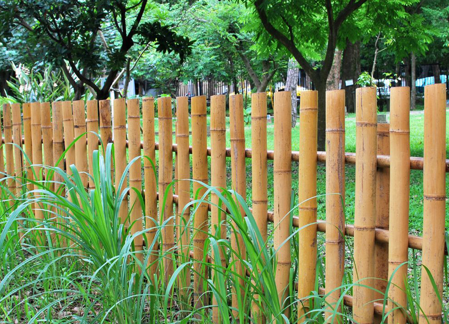 Bamboo Fencing